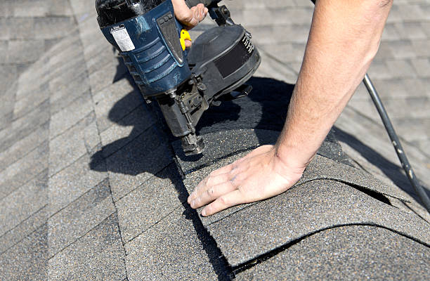 Trusted Trenton, FL Roofing service Experts